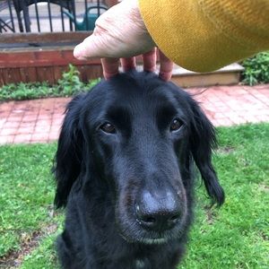 Meet your Posher, Donna